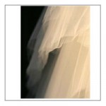 cut edge bridal veil Cut Edge