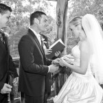 Wedding Veil - Elbow Length Veil 2 tier veil